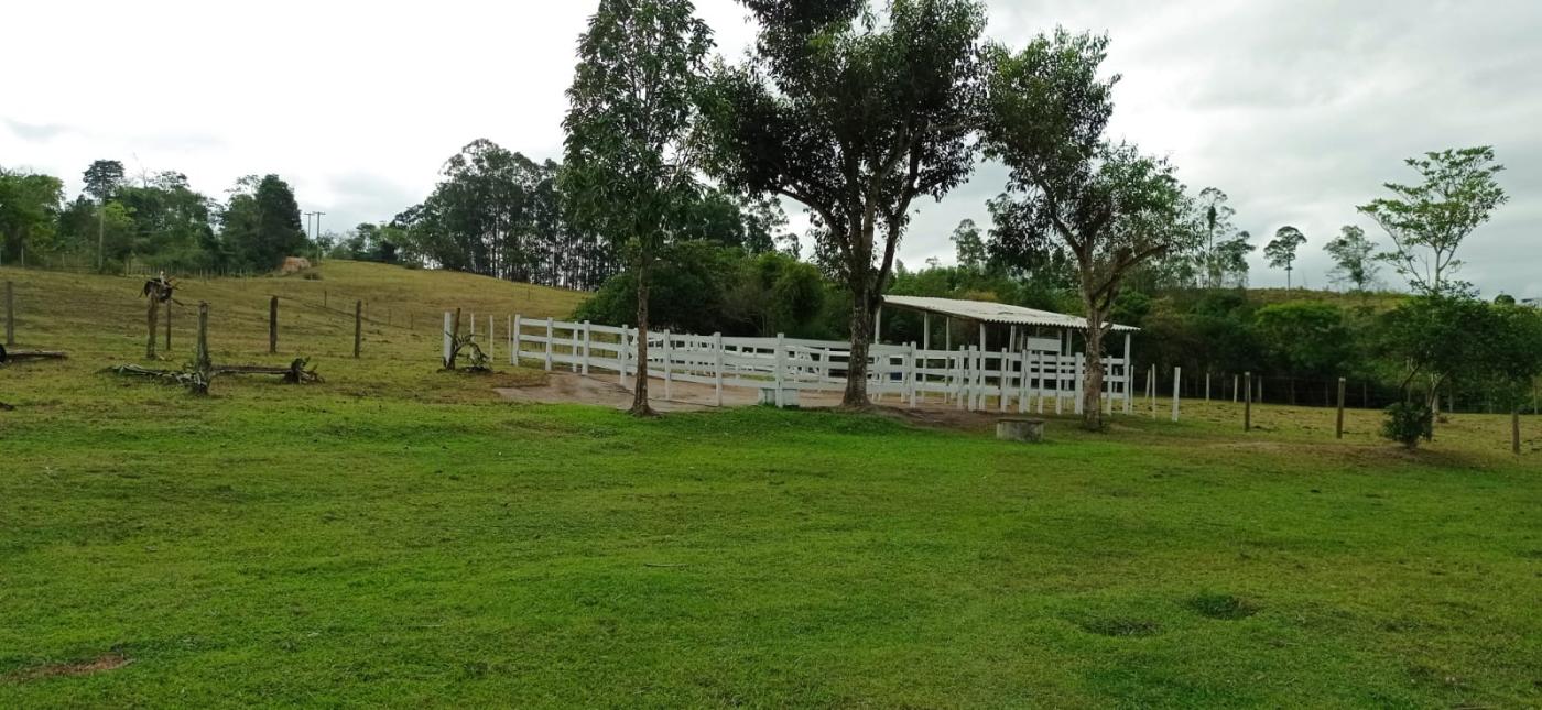 Fazenda à venda com 3 quartos, 80000m² - Foto 13