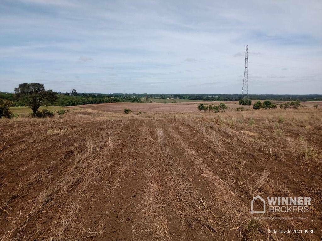 Terreno à venda, 41125M2 - Foto 3