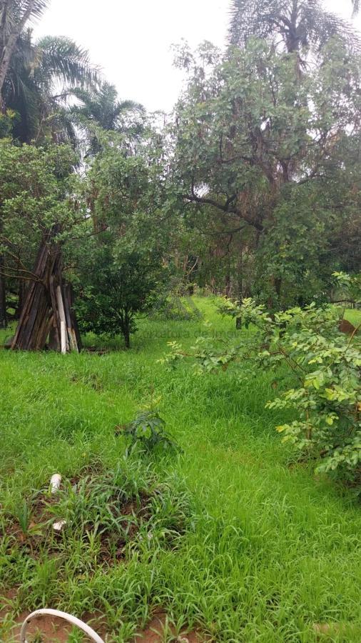 Fazenda à venda, 5000m² - Foto 6