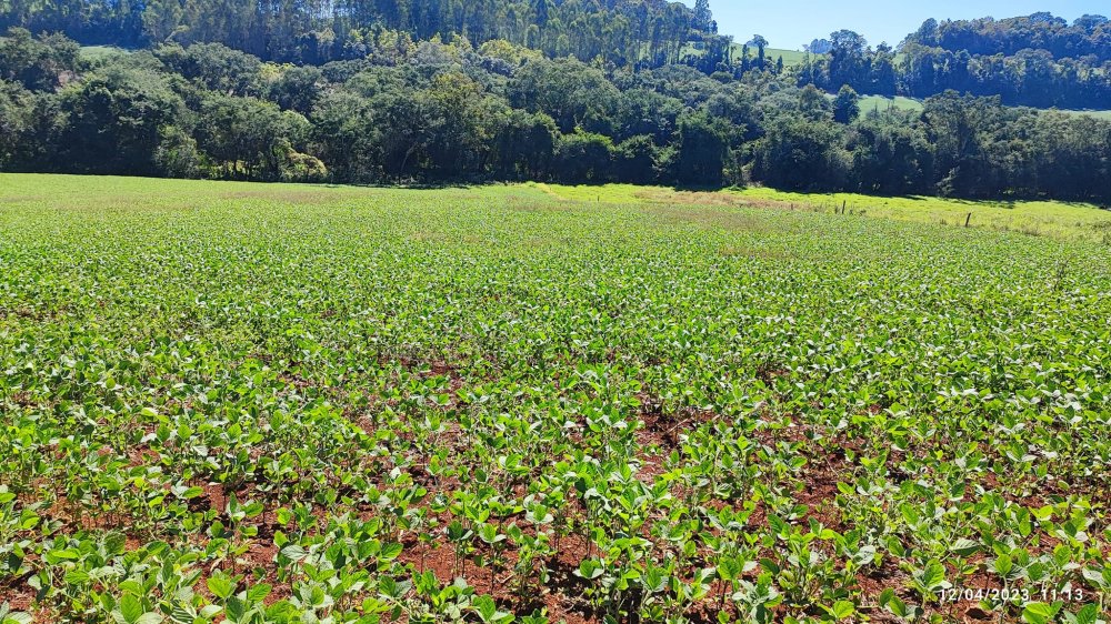 Fazenda à venda, 12m² - Foto 18