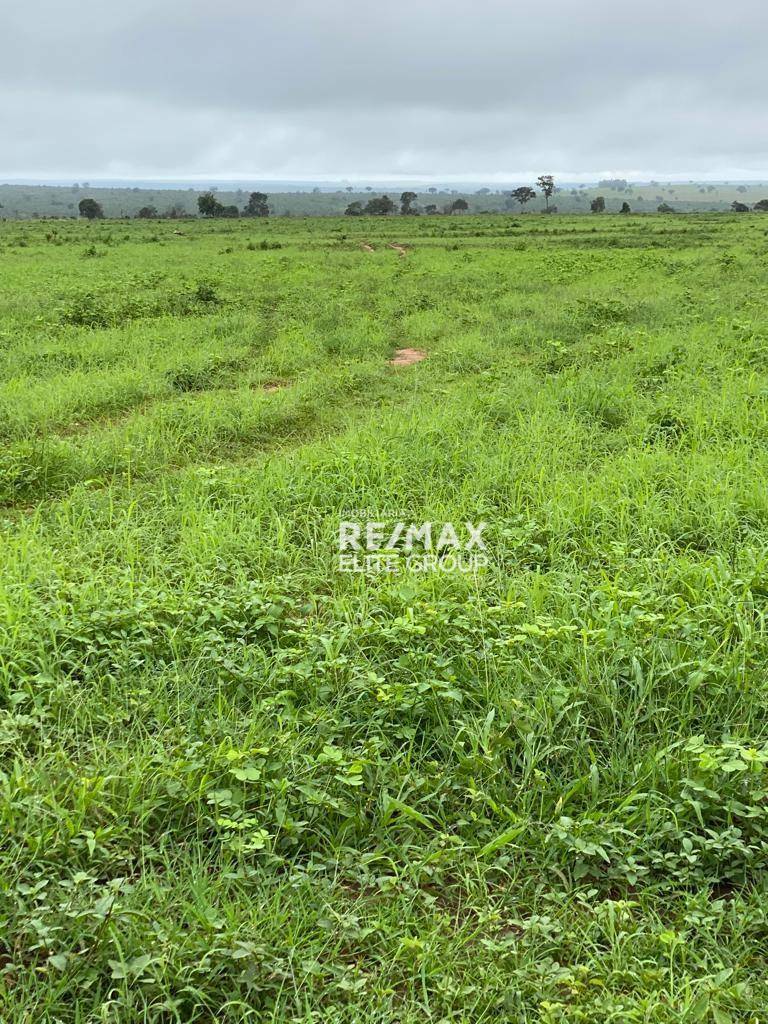 Fazenda à venda com 1 quarto, 1m² - Foto 3