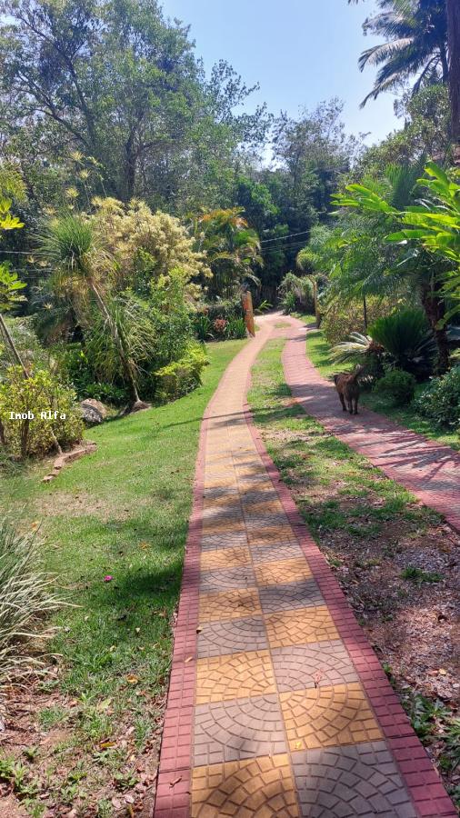 Fazenda à venda com 4 quartos, 700m² - Foto 3