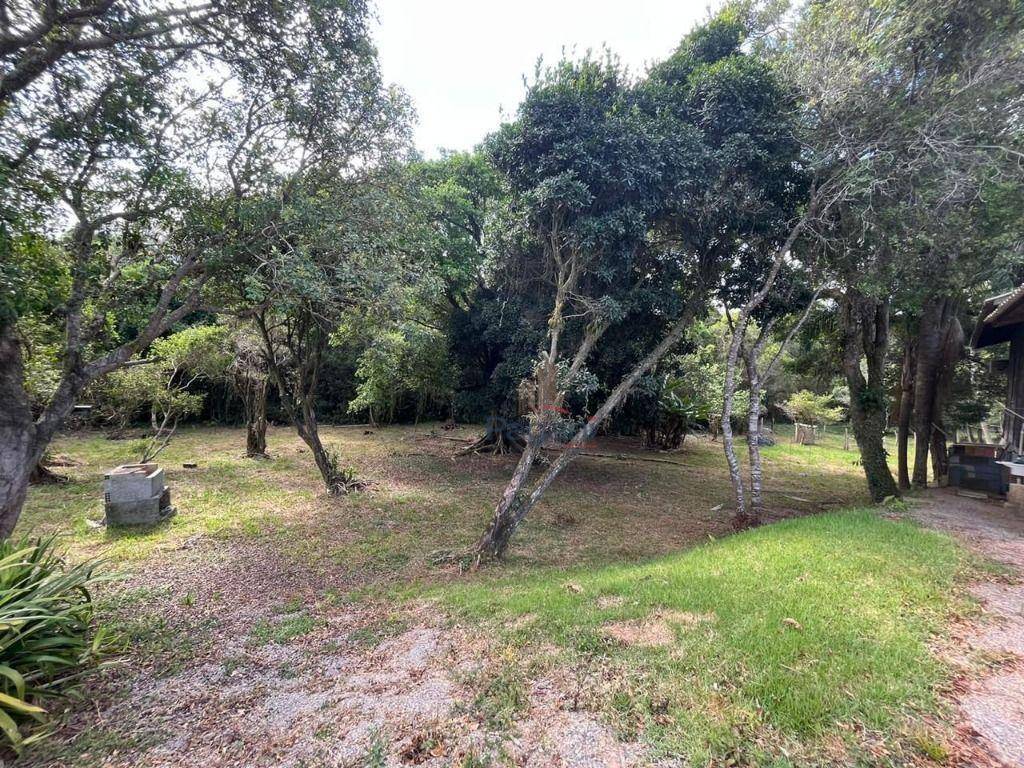 Sítio, 2 quartos, 2 hectares - Foto 11