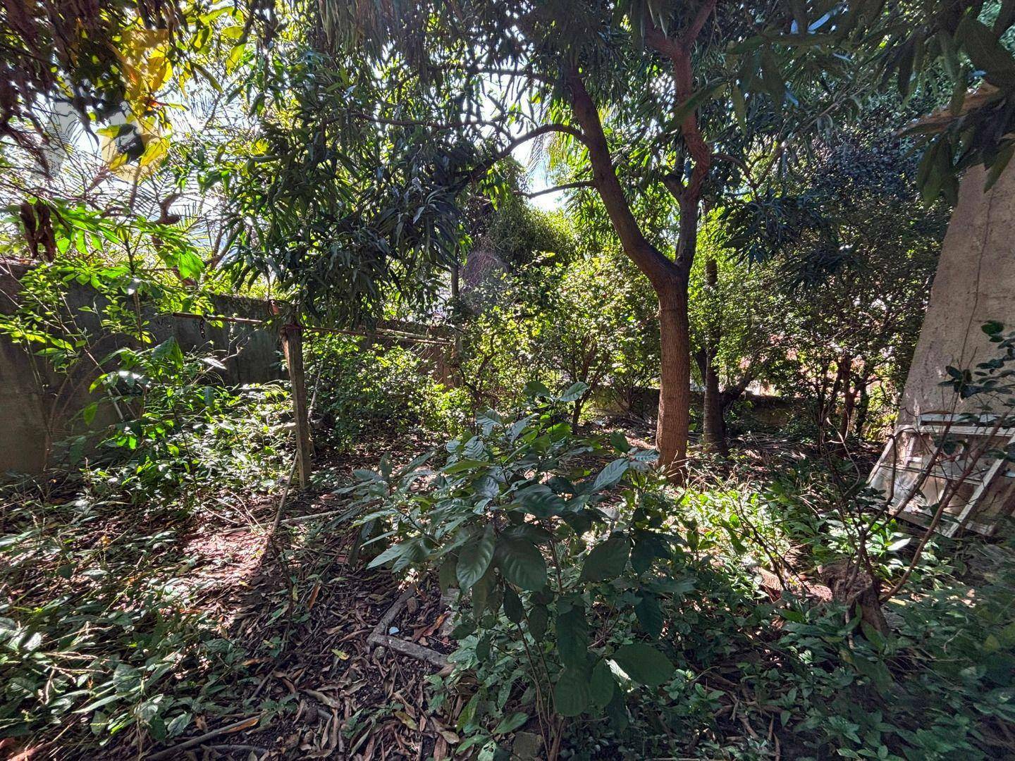 Terreno à venda, 375M2 - Foto 14