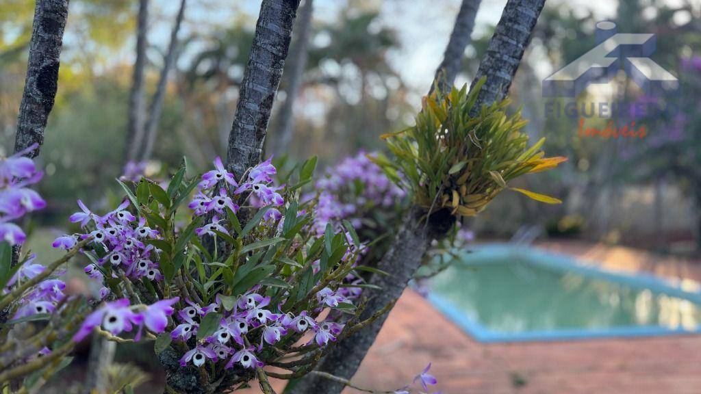 Sítio, 4 hectares - Foto 1