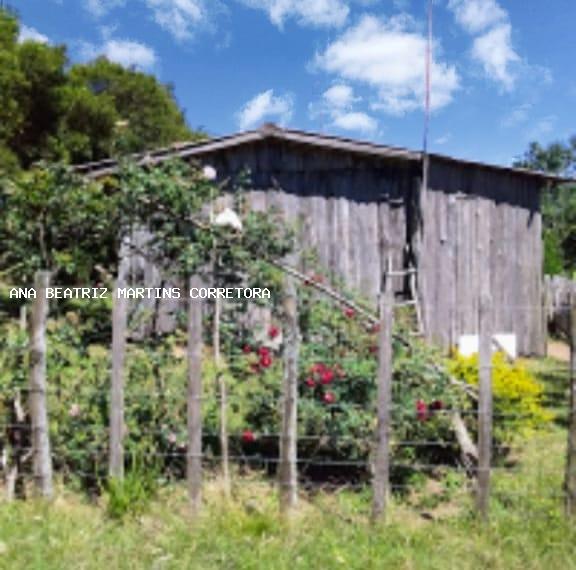 Fazenda à venda com 1 quarto, 50m² - Foto 2