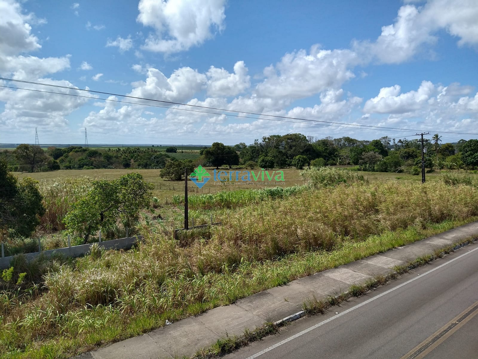 Fazenda-Sítio-Chácara, 19 hectares - Foto 3
