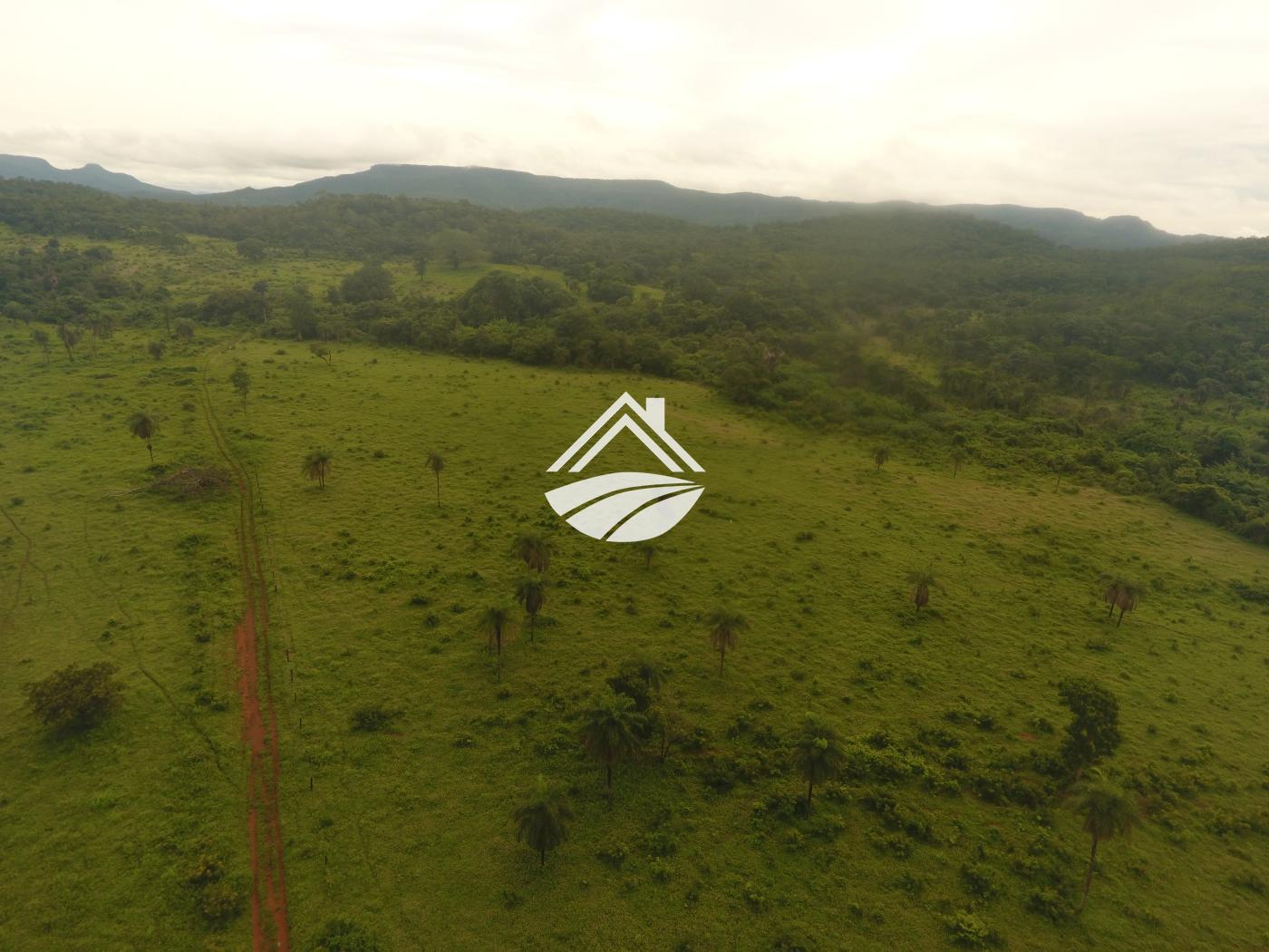 Fazenda-Sítio-Chácara, 1 m² - Foto 2