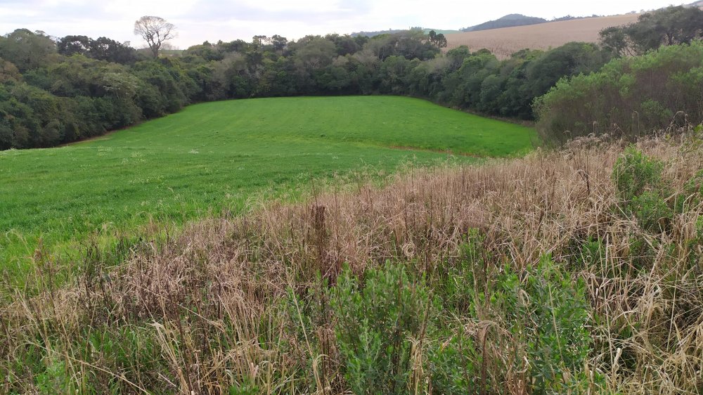 Fazenda à venda, 60m² - Foto 24