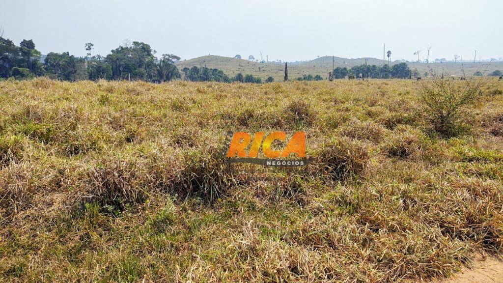 Fazenda à venda com 2 quartos, 39370000M2 - Foto 21