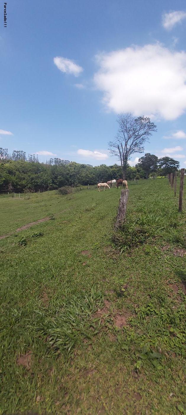 Fazenda à venda, 44000m² - Foto 3