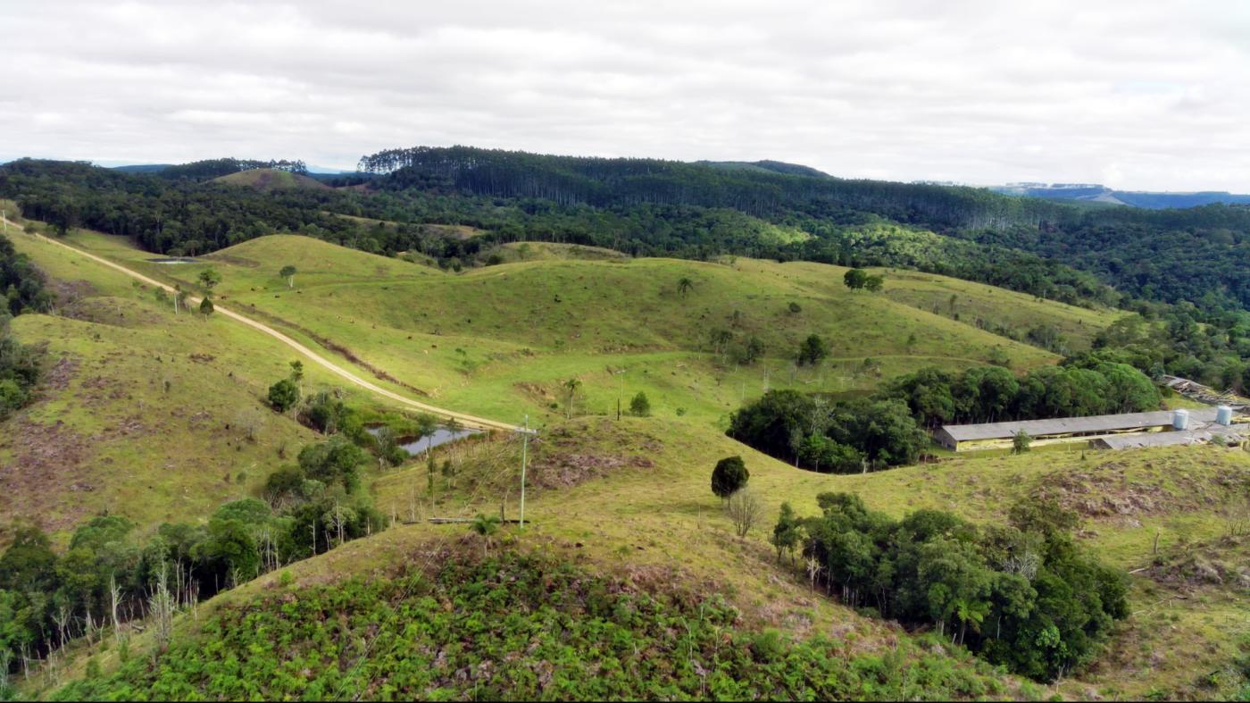 Fazenda-Sítio-Chácara, 86 hectares - Foto 1