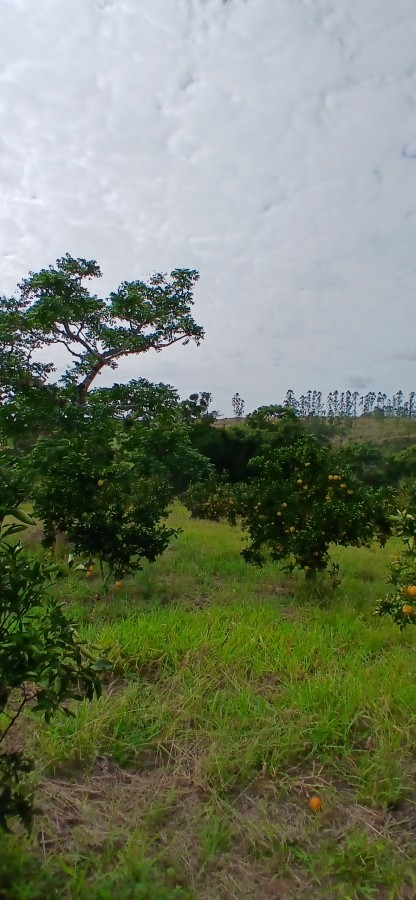 Sítio à venda com 3 quartos, 67000m² - Foto 5