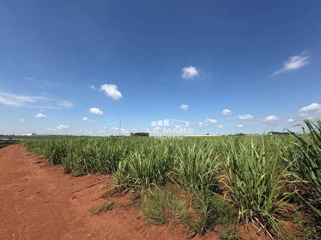 Terreno, 2 hectares - Foto 2