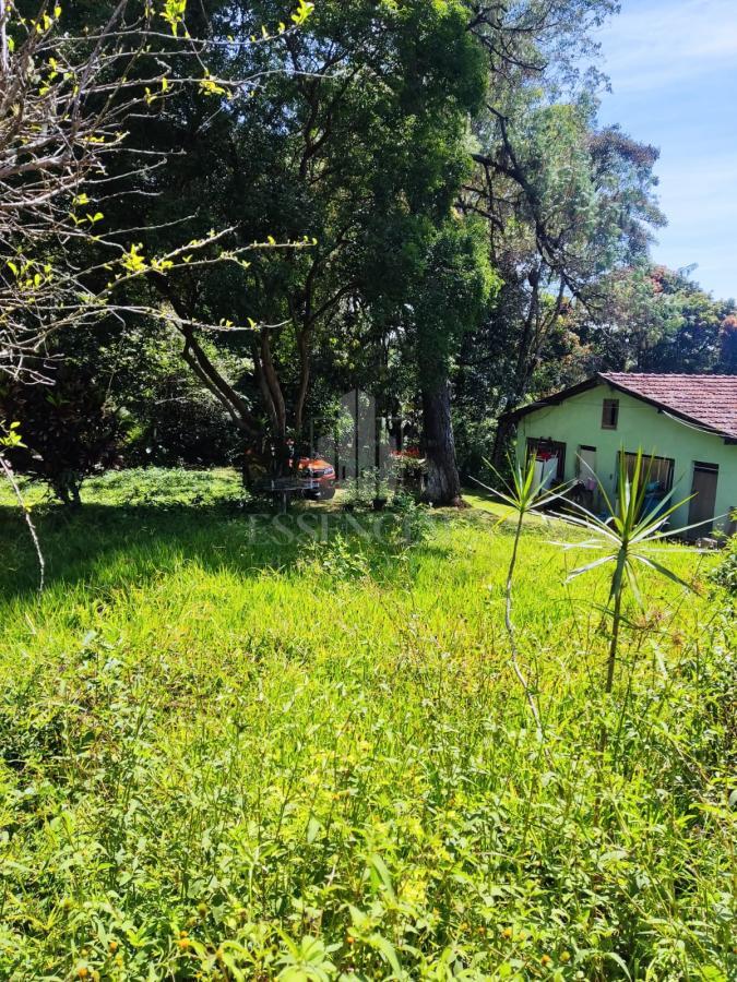 Fazenda à venda com 5 quartos, 20000m² - Foto 7