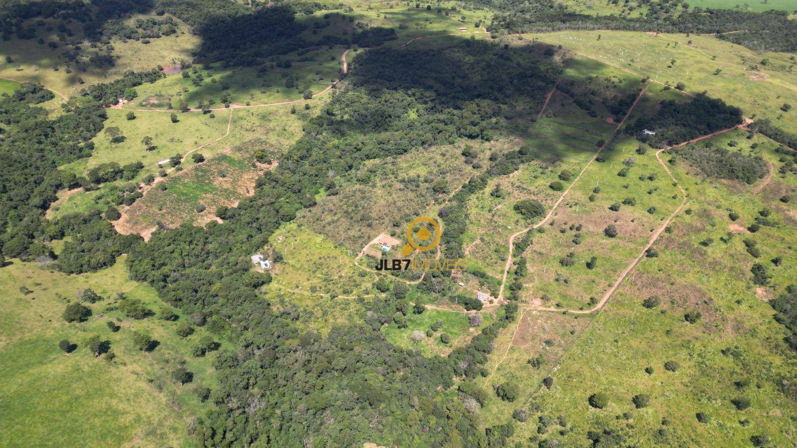 Terreno, 5 hectares - Foto 4