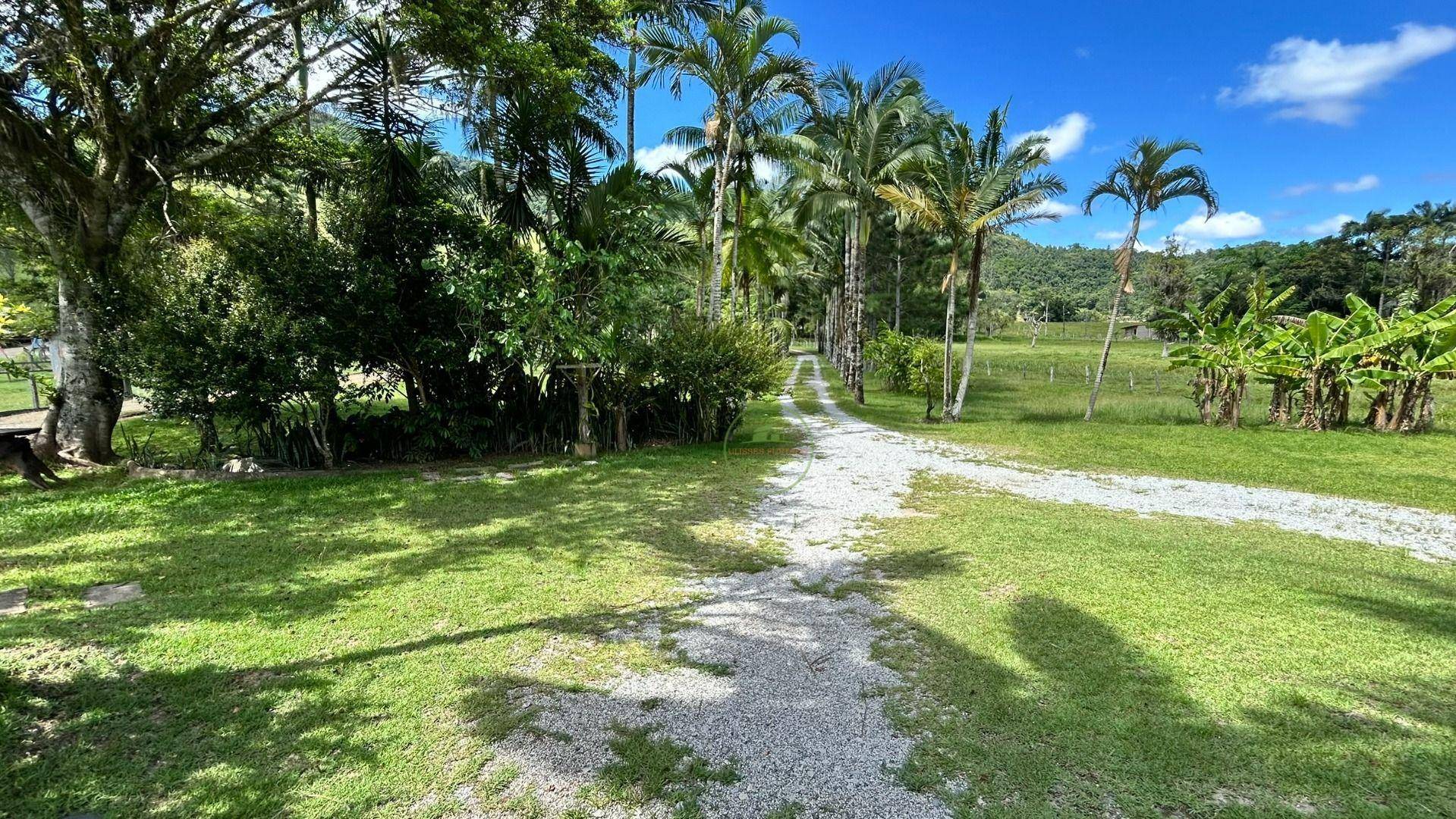 Chácara, 2 hectares - Foto 65