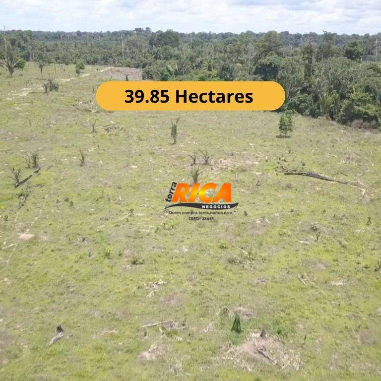 Sítio, 2 quartos, 40 hectares - Foto 1