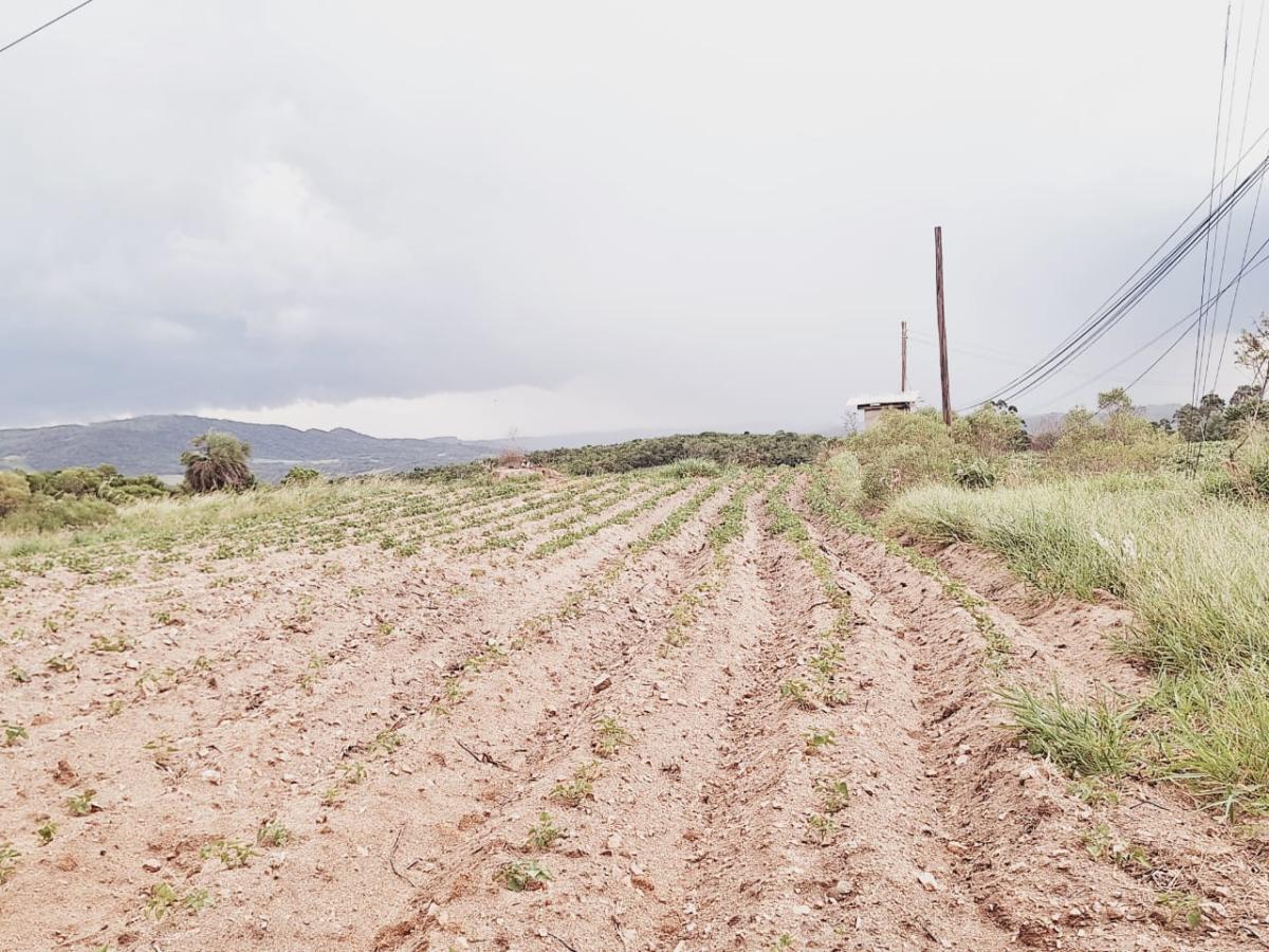 Loteamento e Condomínio à venda, 34000m² - Foto 10