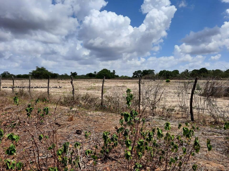 Fazenda à venda com 2 quartos, 14m² - Foto 24