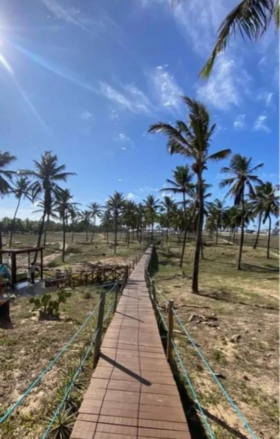 Terreno, 250 m² - Foto 14