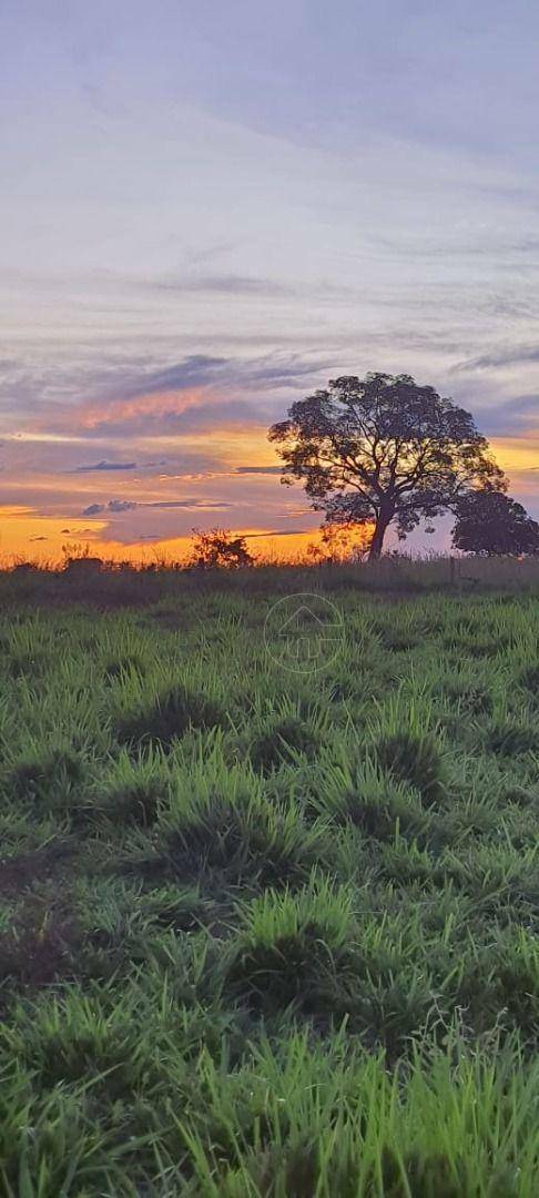 Fazenda à venda, 1355200M2 - Foto 10