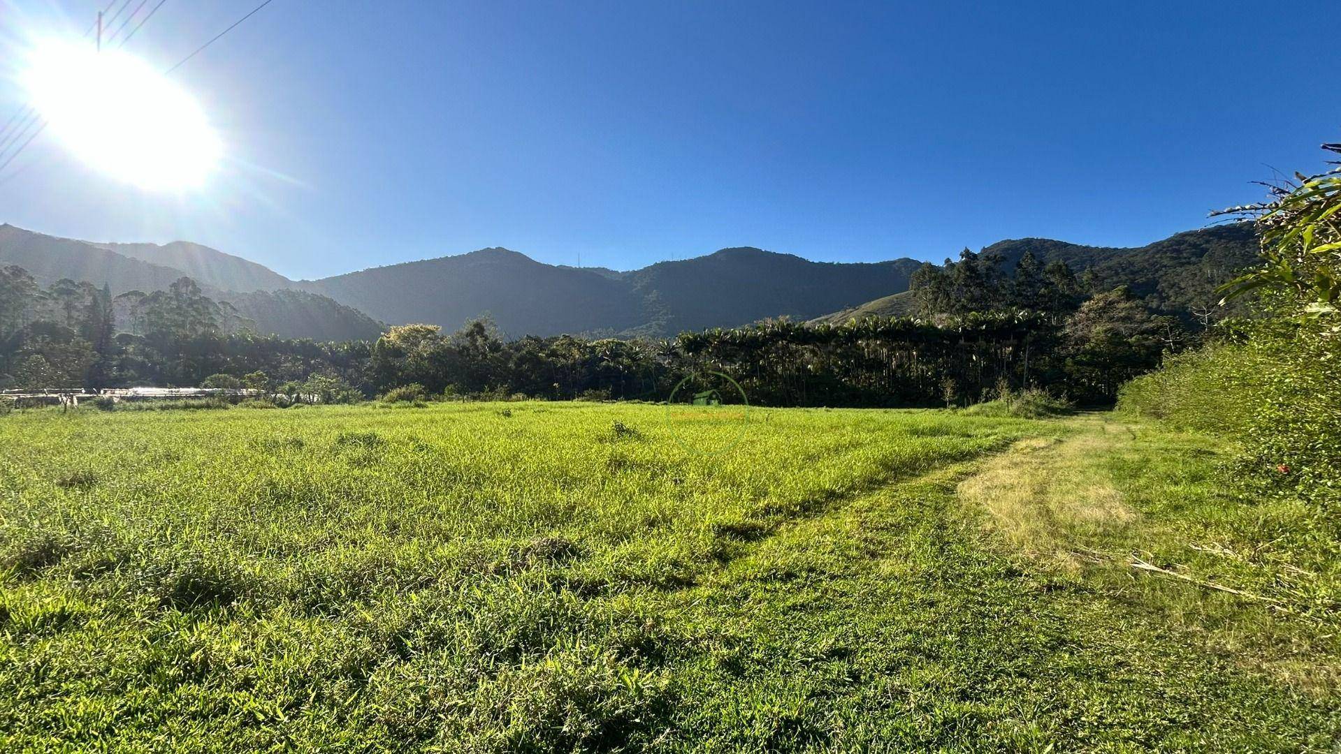 Sítio, 19 hectares - Foto 28