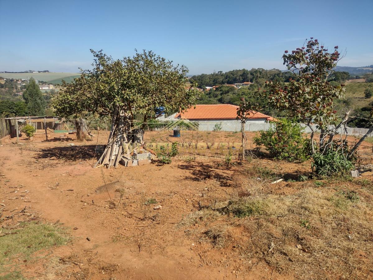 Fazenda à venda com 4 quartos, 4300m² - Foto 27