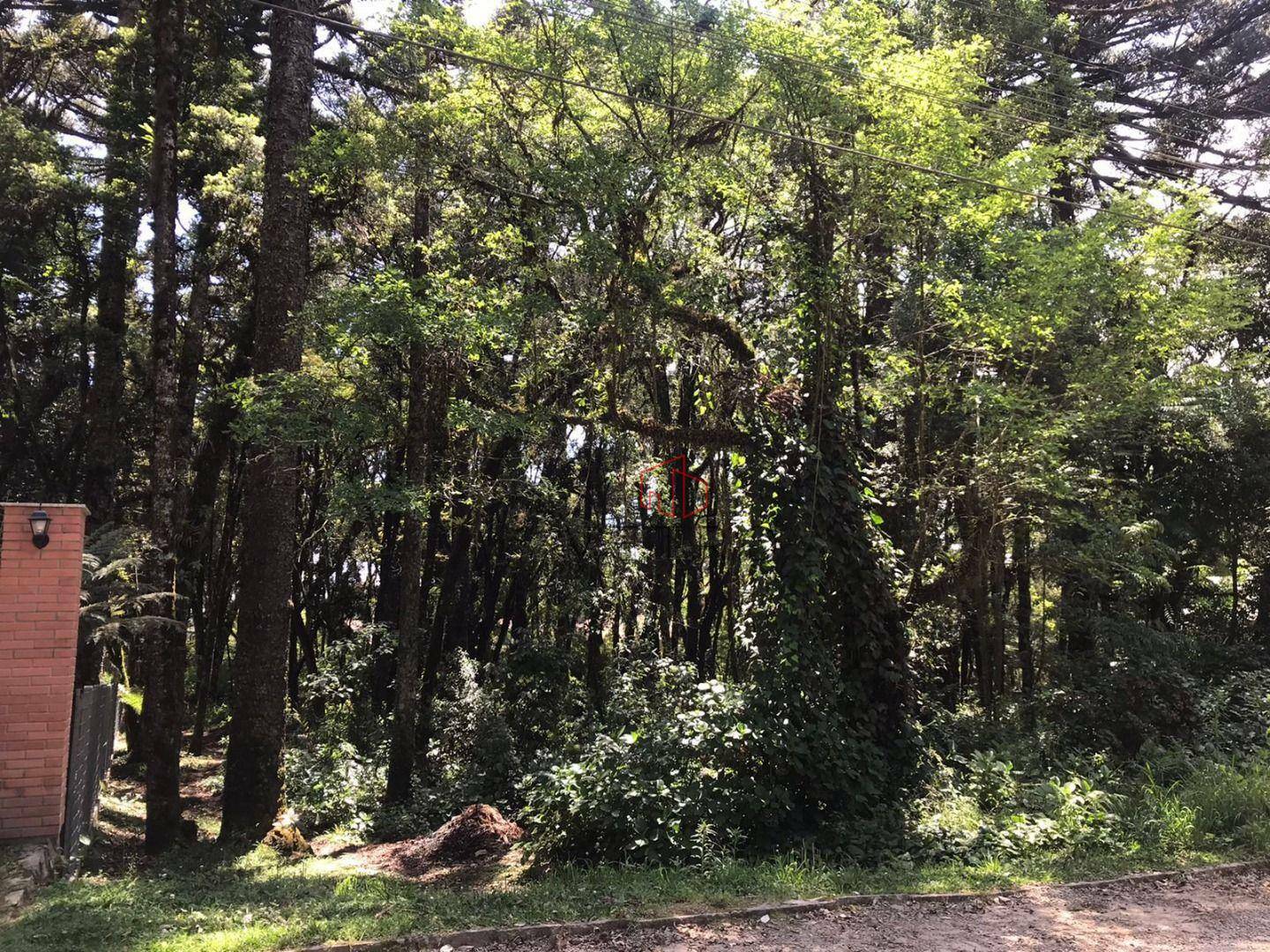 Terreno à venda, 2250M2 - Foto 4