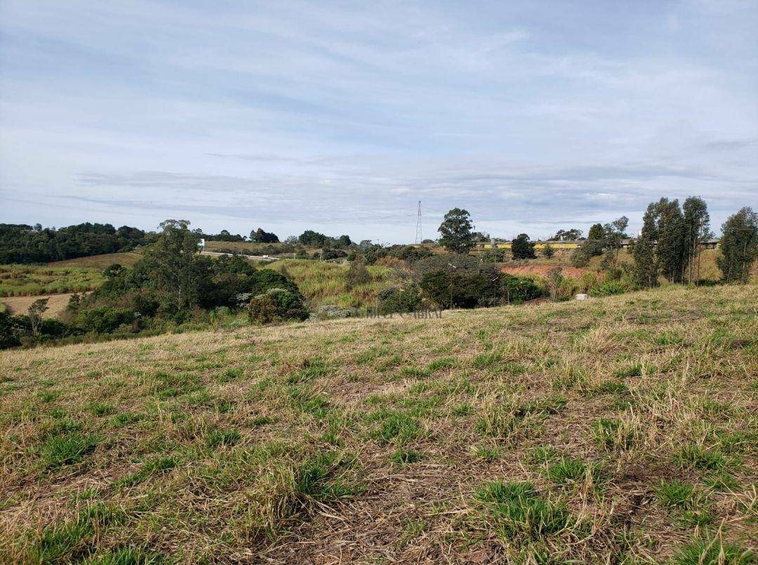 Terreno à venda, 55000M2 - Foto 4