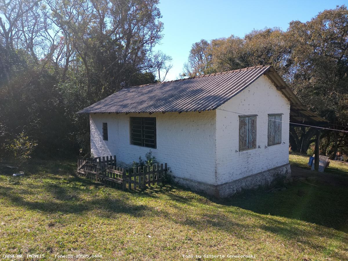 Fazenda à venda com 4 quartos, 160000m² - Foto 18