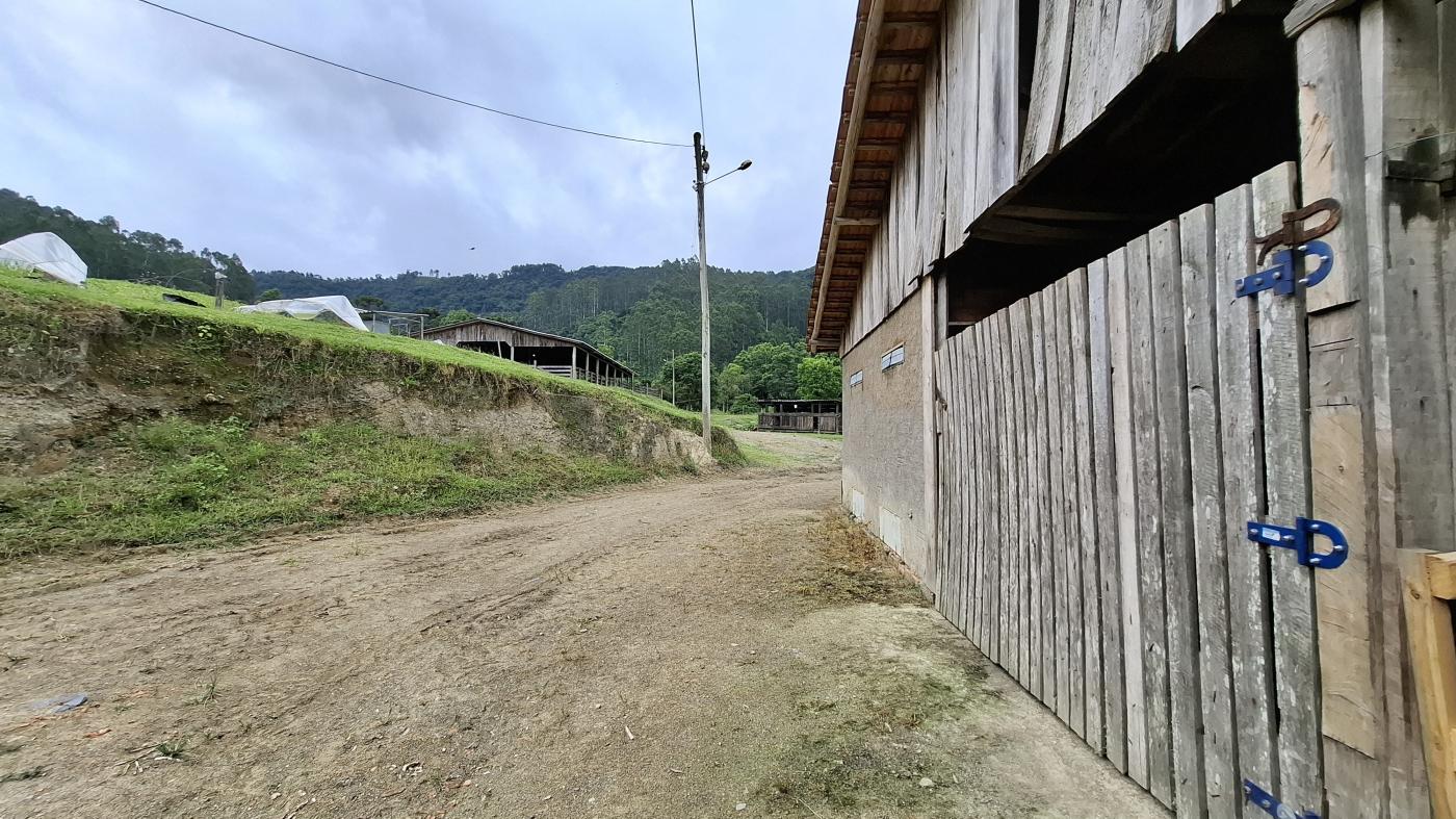 Sítio à venda com 5 quartos, 230000m² - Foto 23