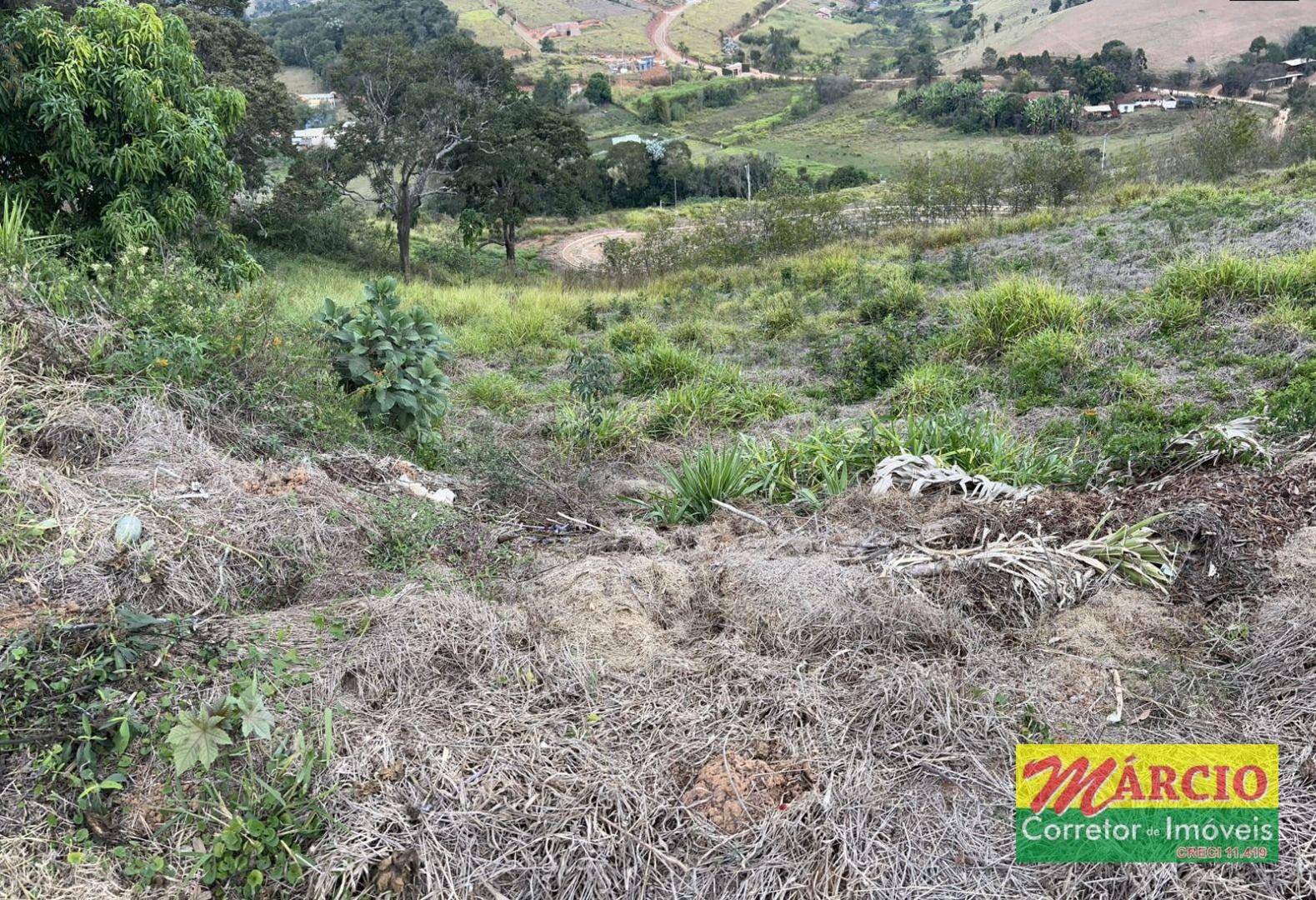 Loteamento e Condomínio à venda, 1250M2 - Foto 11