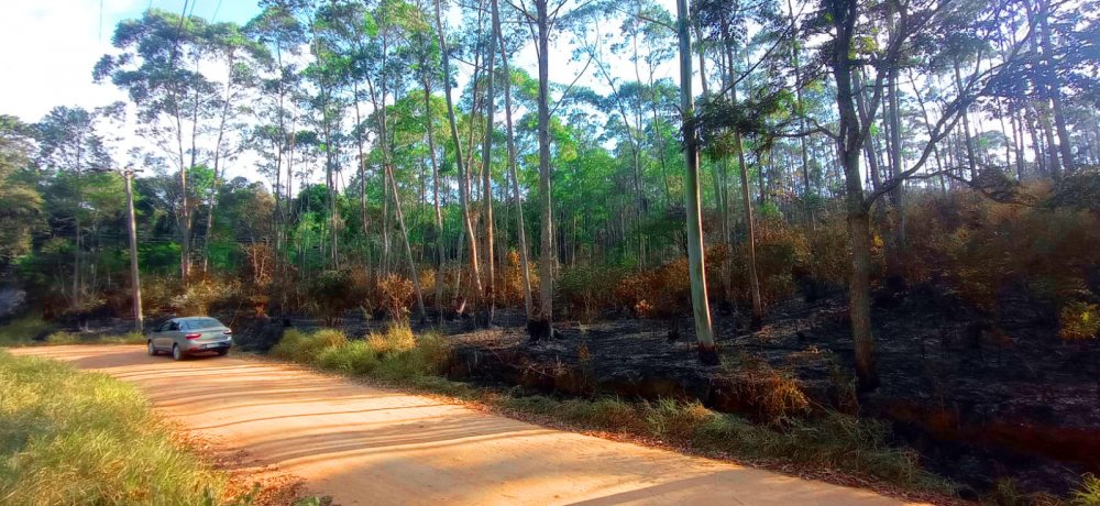 Fazenda à venda, 266200m² - Foto 6