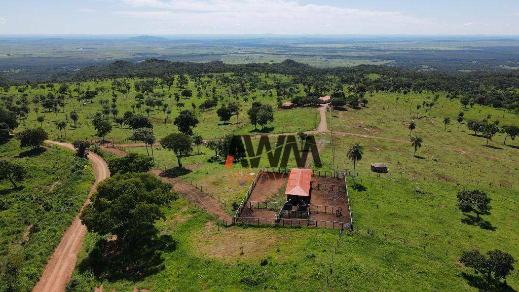 Fazenda, 823 hectares - Foto 7