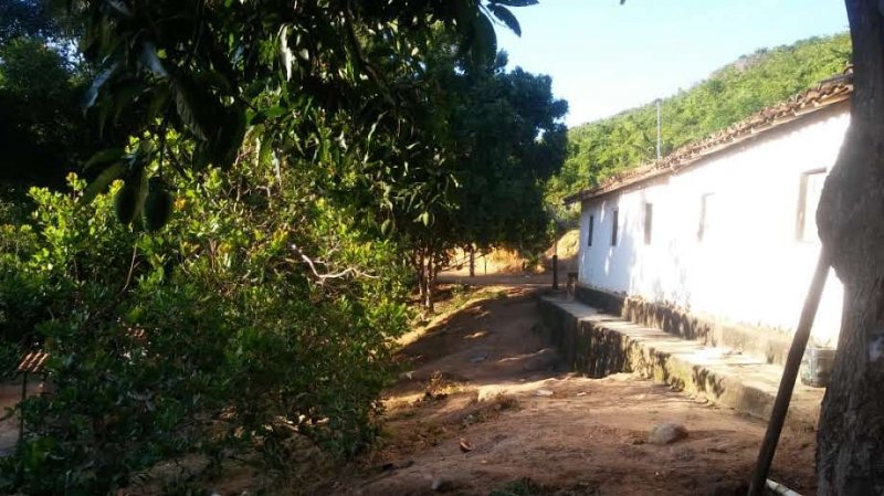 Fazenda à venda, 60m² - Foto 5