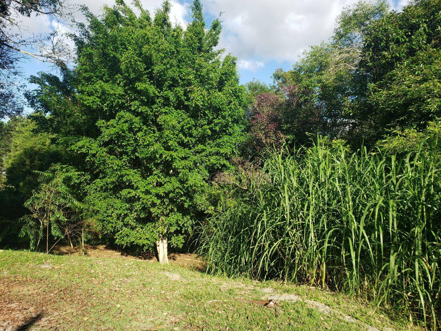 Loteamento e Condomínio à venda, 2530M2 - Foto 3