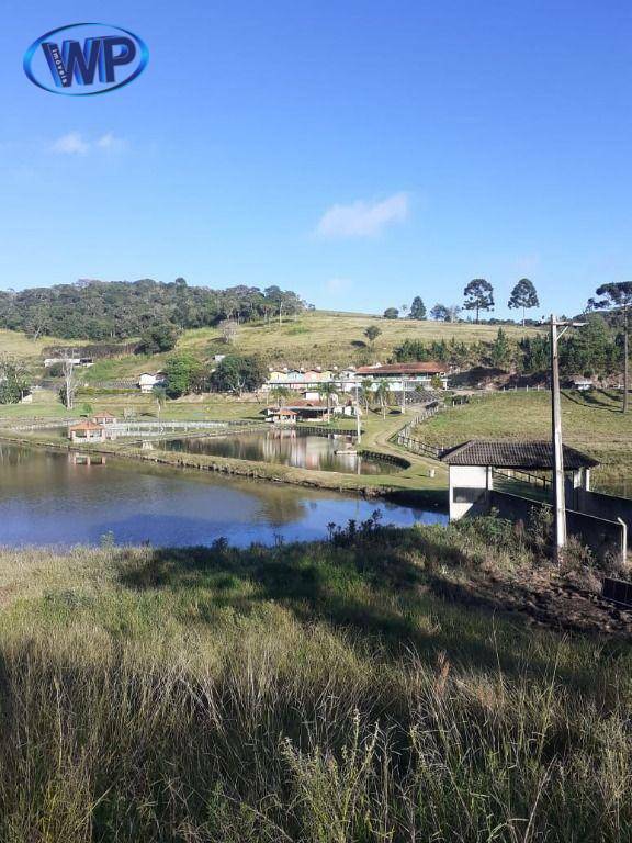 Pousada-Chalé à venda com 3 quartos, 400m² - Foto 5