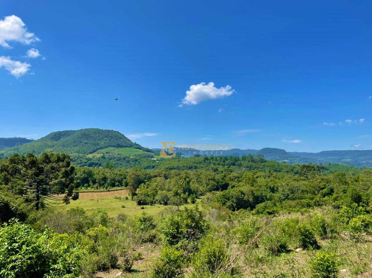 Sítio, 6 quartos, 45 hectares - Foto 10