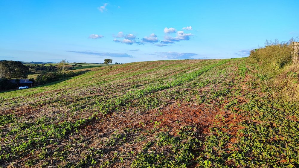 Fazenda à venda, 13m² - Foto 14