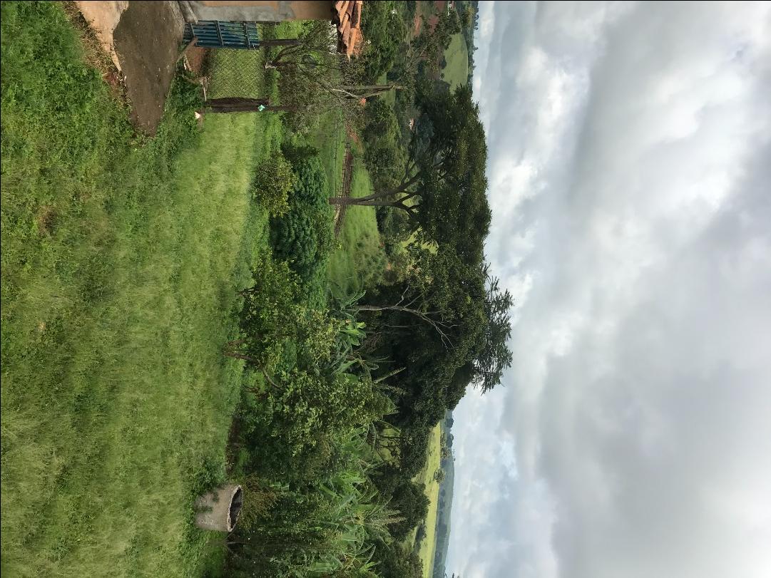 Fazenda à venda com 4 quartos, 1064800M2 - Foto 4