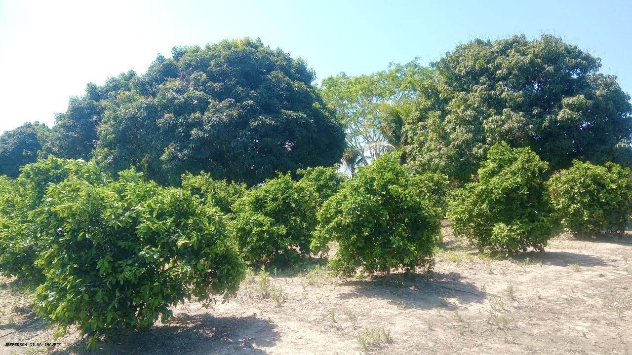 Fazenda à venda, 500000m² - Foto 2