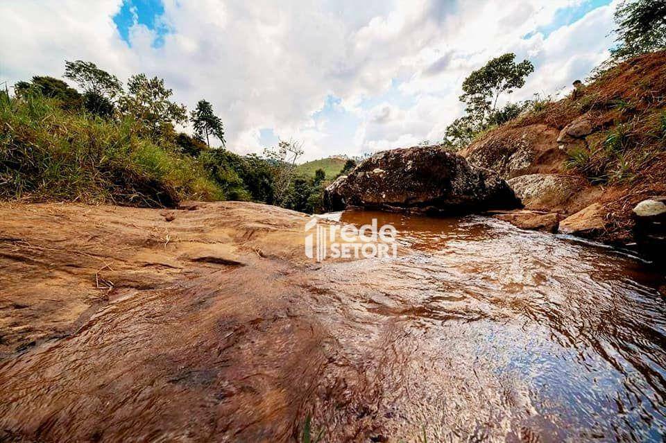Terreno, 2 hectares - Foto 4