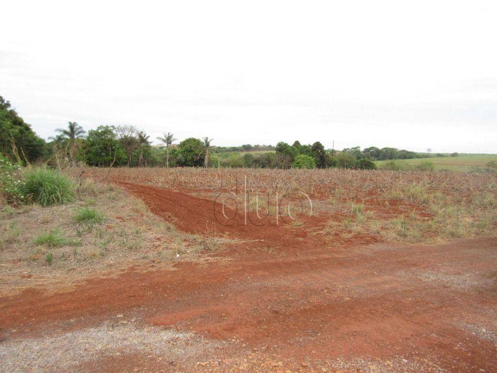 Terreno para alugar, 24200M2 - Foto 9