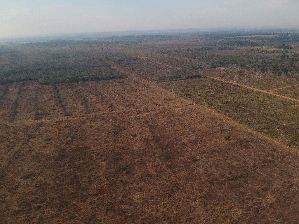 Fazenda à venda, 4356000M2 - Foto 9