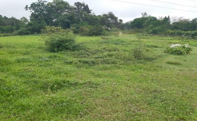 Fazenda à venda com 4 quartos, 15000m² - Foto 10