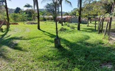 Fazenda à venda com 2 quartos, 16000m² - Foto 12