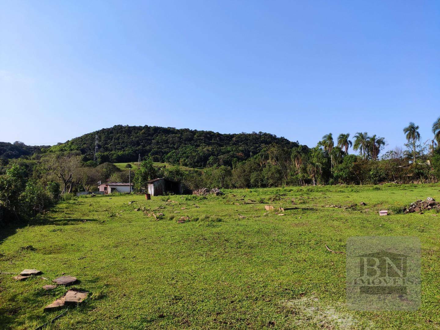 Terreno, 13 hectares - Foto 4