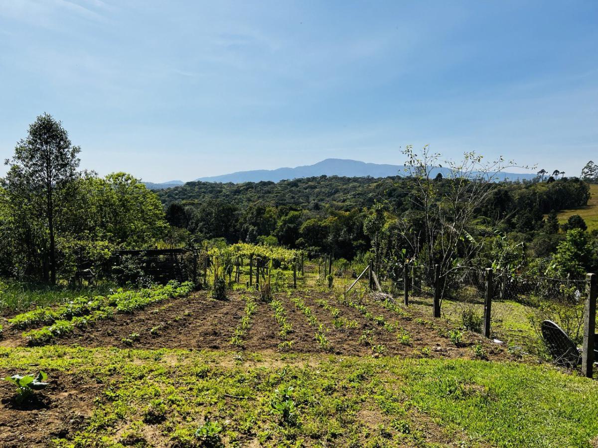 Fazenda à venda, 6300m² - Foto 20