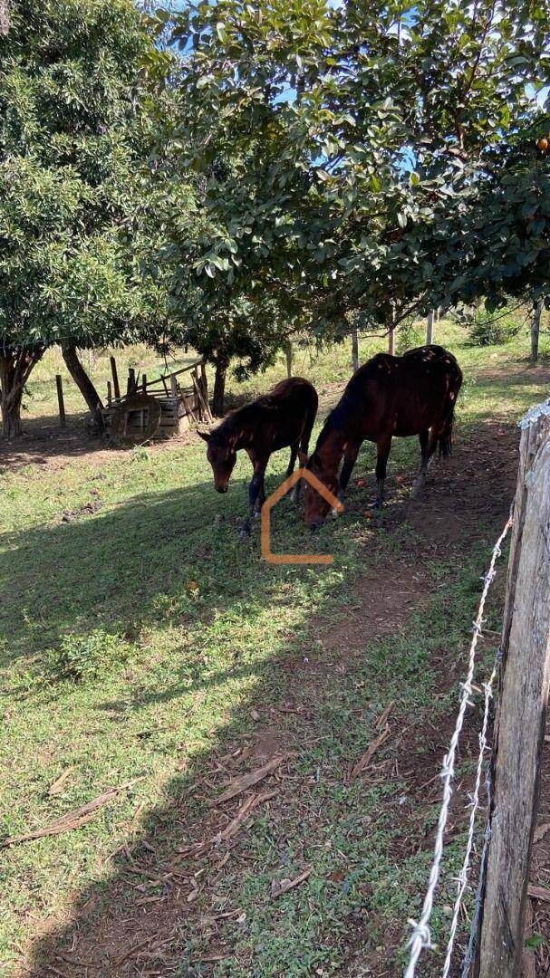 Sítio, 1 quarto, 1 hectares - Foto 1